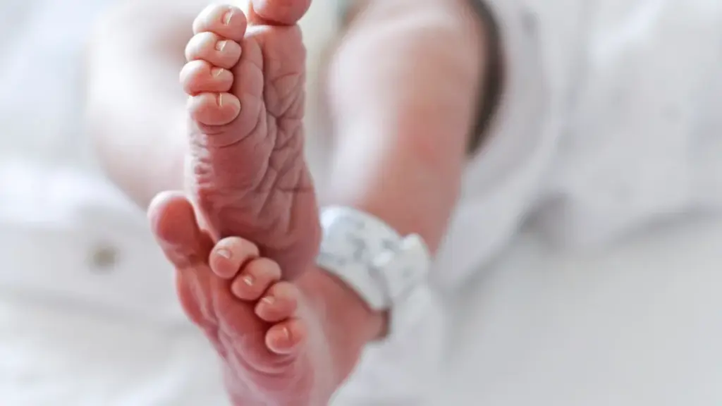 Declino demografico e cambiamenti sociali: gli allarmanti Istat dati 2024 1 Fecondità ai minimi storici: solo 1,18 figli per donna