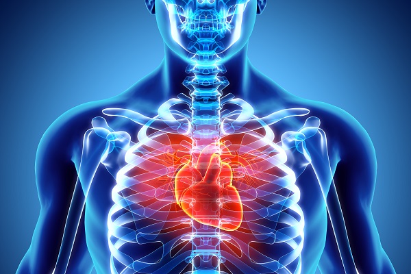 Le malattie cardiovascolari