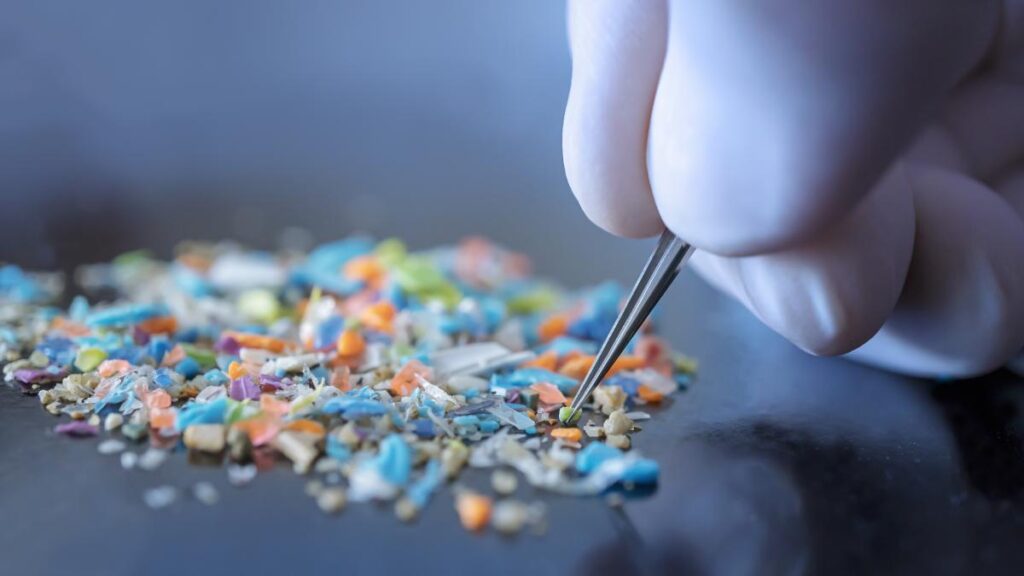 Microplastiche: piccole particelle, grandi rischi