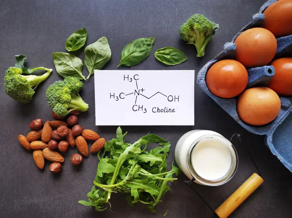 Il super nutriente che fa bene al cervello: cos’è la colina e in quali cibi si trova 1 Colina e salute mentale: effetti sorprendenti