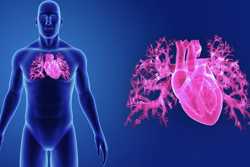Il rarissimo tumore al cuore nell’uomo: cos’è, come si manifesta e perché è così difficile da diagnosticare 1 Strumenti diagnostici: l’importanza dell’imaging nella diagnosi del tumore al cuore