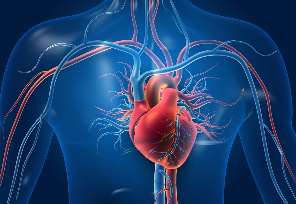 Prevenzione cardiovascolare: nuovo test del cuore: il ruolo chiave di apoB e lipoproteina(a) 1 Il ruolo della lipoproteina(a) nella prevenzione cardiovascolare