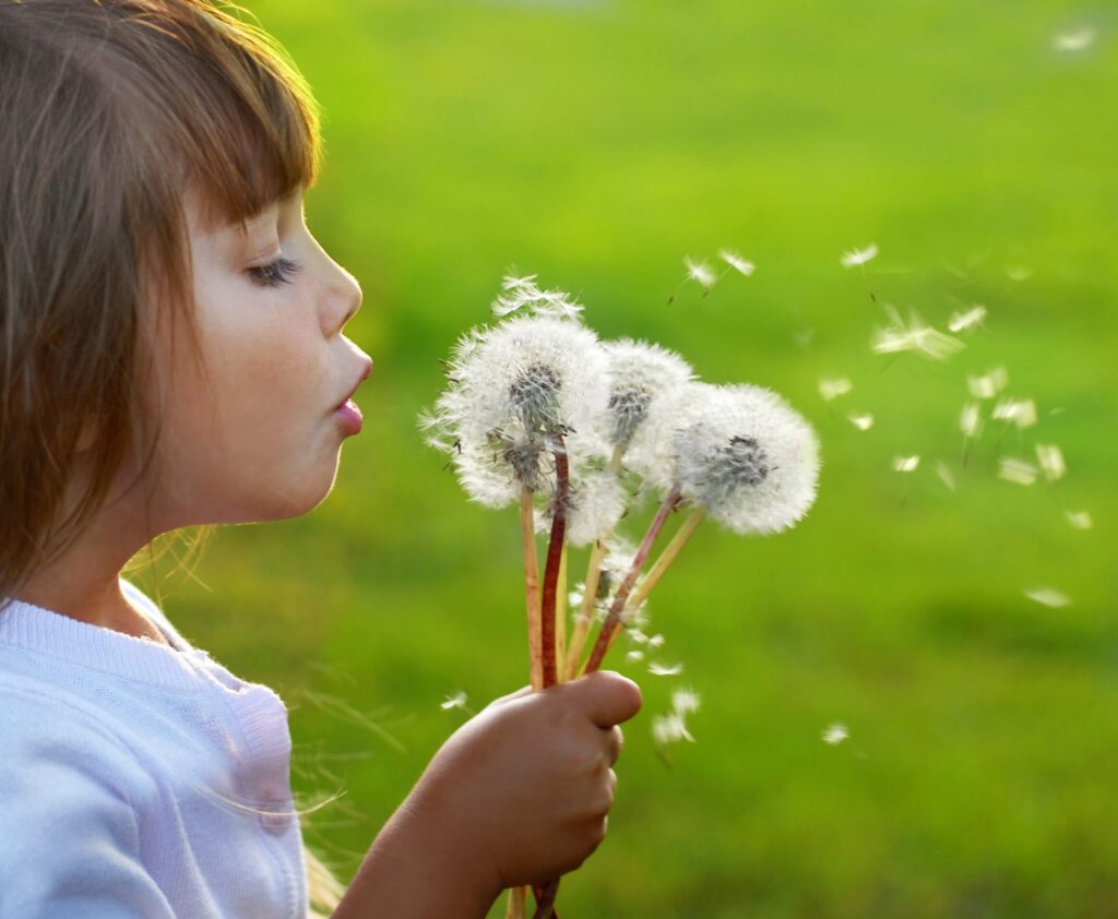 Il ritorno dei pollini e l’aumento delle allergie stagionali 1 Monitoraggio e prevenzione: come difendersi dai pollini.