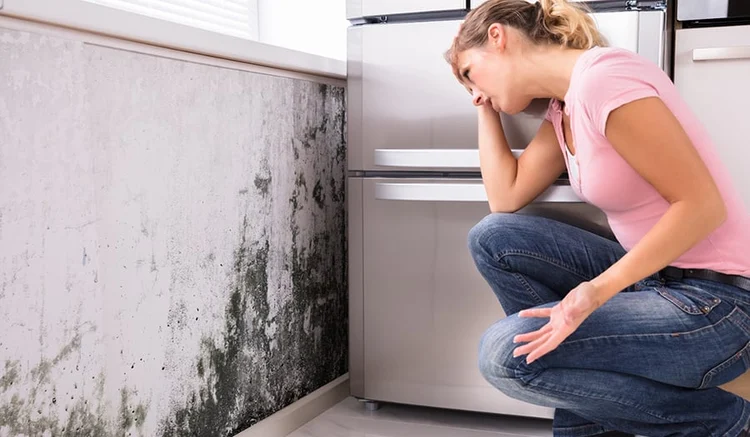 Muffa in casa, un pericolo invisibile per i polmoni: tosse e fiato corto non vanno mai ignorati 1 I sintomi da non ignorare causati dalla muffa: attenzione a tosse, fiato corto e stanchezza ricorrente