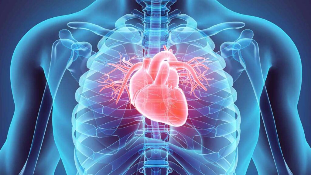 Visite specialistiche e prevenzione, le armi più efficaci contro il rischio scompenso cardiaco