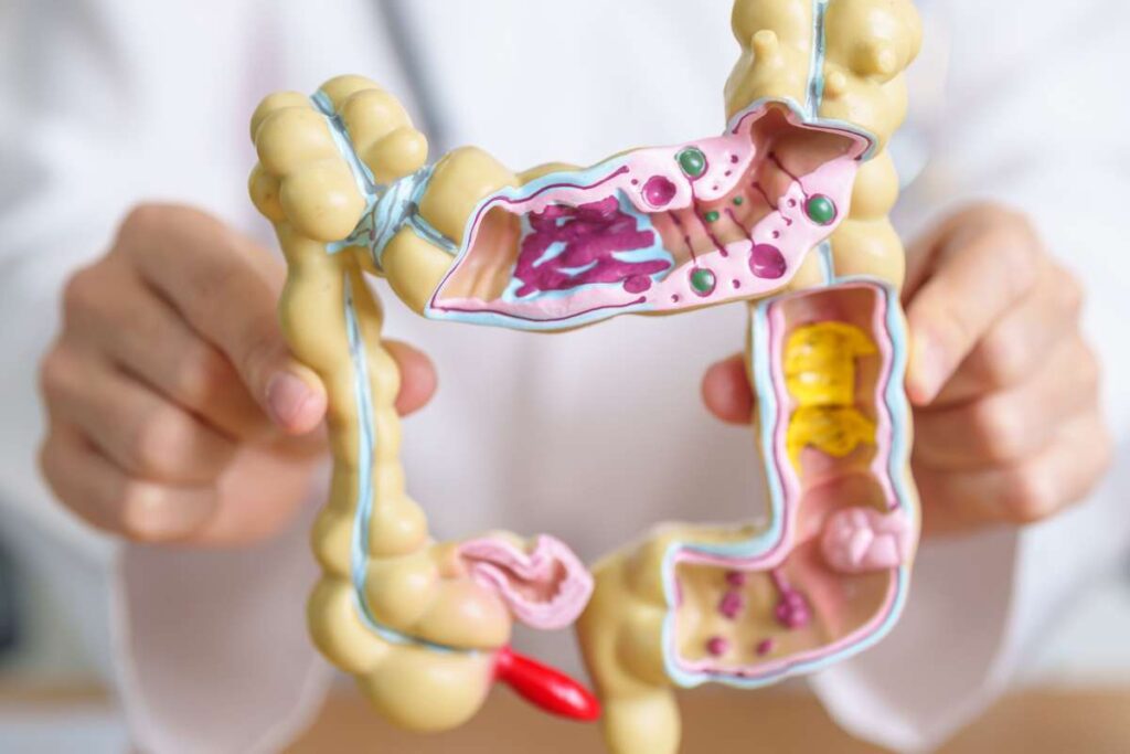 Sindrome di Lynch: in Italia 215mila persone a rischio e troppe lacune nella prevenzione 1 Visite specialistiche mirate e prevenzione personalizzata: il ruolo della diagnosi precoce per la sindrome di lynch