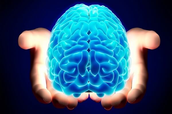 Il cervello adulto genera nuovi neuroni: la scoperta che rivoluziona la neurologia 1 Visite specialistiche e diagnosi neurobiologica precoce