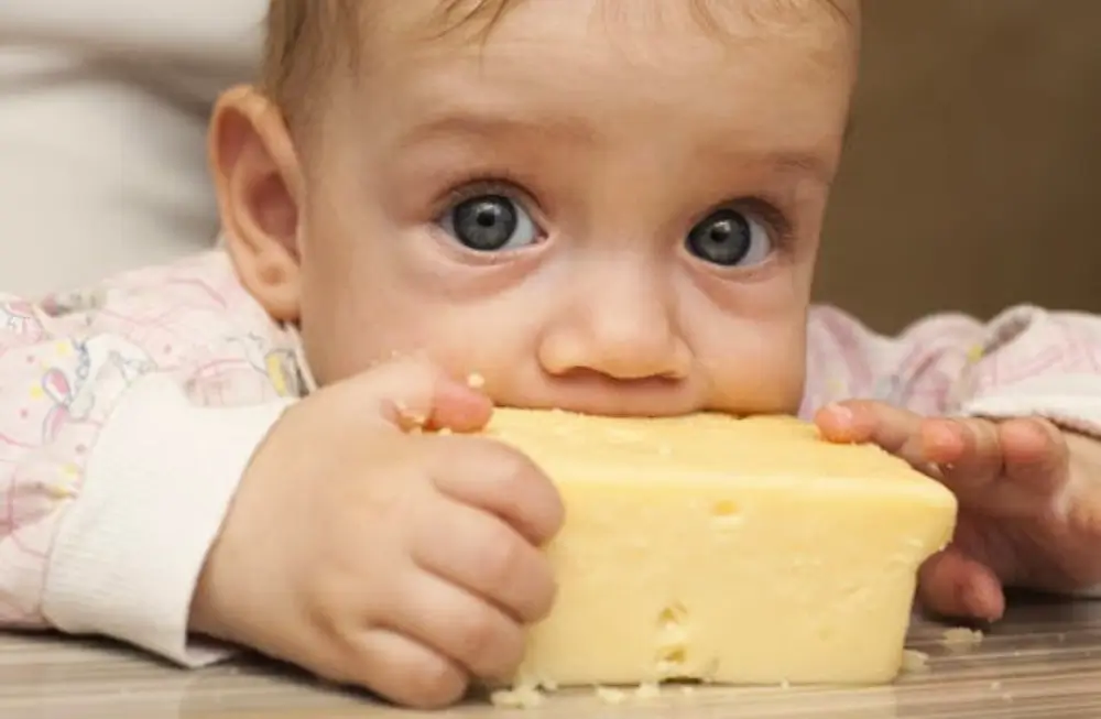Latte crudo e formaggi derivati, i rischi nascosti e come proteggersi 1 Visite specialistiche e prevenzione: gli effetti del latte crudo sui bambini