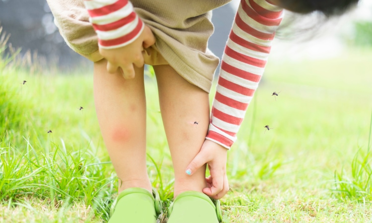 Repellenti anti-zanzare per bambini: come scegliere in sicurezza 1 Come riconoscere un repellente sicuro anzi zanzare