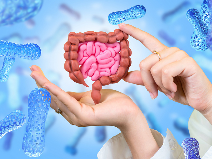 Microbioma intestinale: visite specialistiche e prevenzione