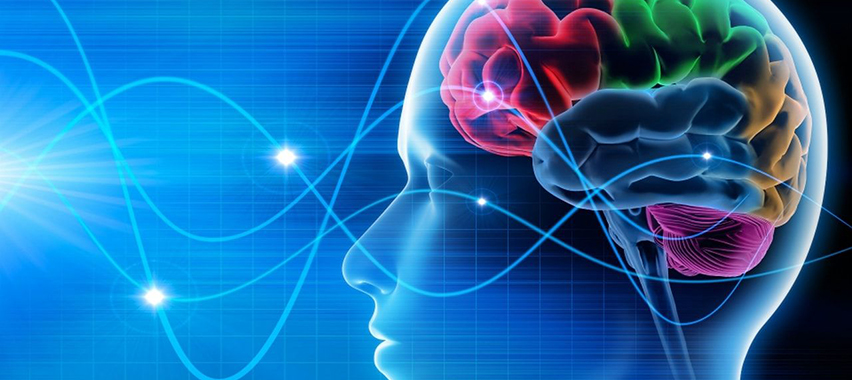 Epilessia, una sfida non solo sanitaria ma sociale 1 Epilessia: visite specialistiche e prevenzione mirata