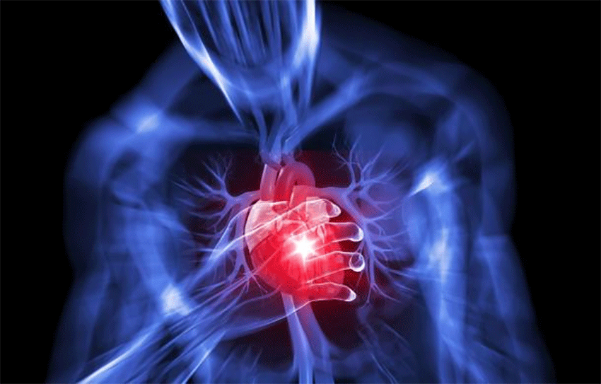 Malattie cardiovascolari: priorità per la salute pubblica