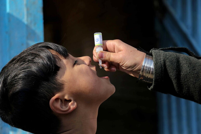 Poliovirus selvaggio, casi ridotti ma la minaccia non è finita: Oms avverte sui rischi legati ai cali vaccinali 1 Poliovirus: una minaccia che resiste in focolai e varianti