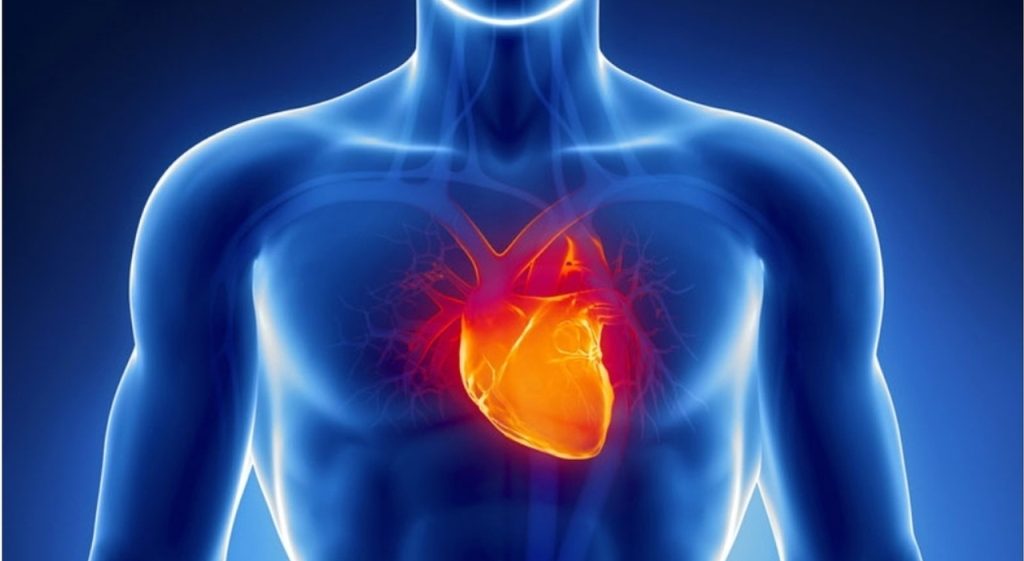 Infezioni respiratorie e cuore: con influenza e Covid il rischio cardiovascolare può aumentare fino a cinque volte 1 Visite specialistiche e monitoraggio dopo le infezioni respiratorie