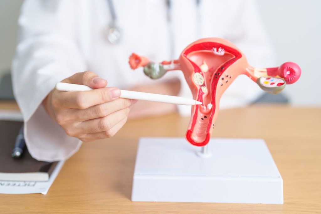 SALUTE DONNA / Cancro cervicale: la prima Giornata mondiale dell’Oms accelera la prevenzione per donne di tutte le età 1 Perché il cancro cervicale colpisce donne giovani e anche donne mature