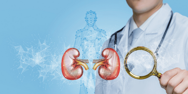 Visite nefrologiche e controlli periodici possono cambiare la prognosi delle malattie renali