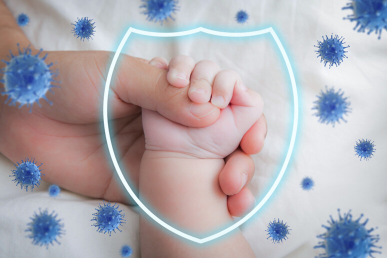 Sistema immunitario dei bambini, i primi 1000 giorni possono determinare la salute di tutta la vita 1 Un sistema immunitario che impara e si adatta