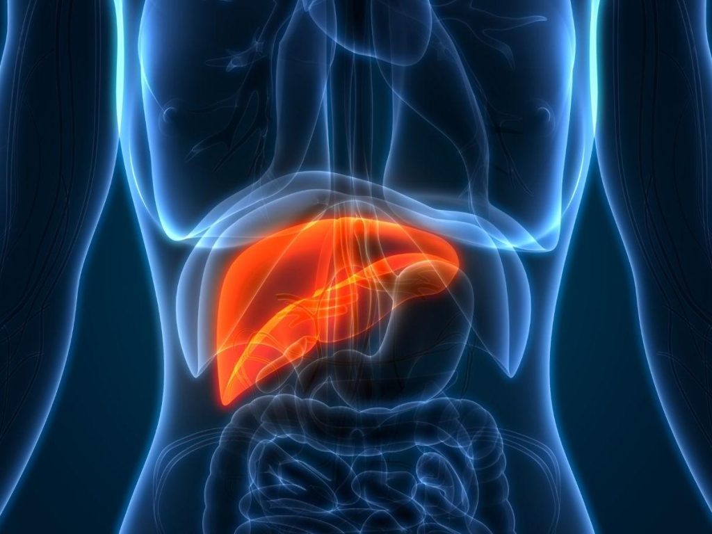 Epatite B, la nuova terapia che punta alla guarigione: svolta per migliaia di pazienti 1 epatite e 1200 900