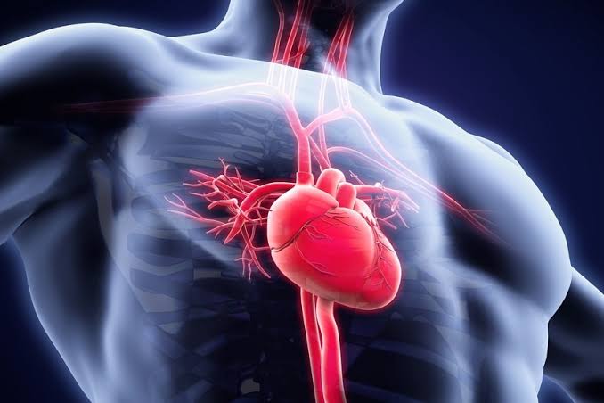 Scompenso cardiaco, un algoritmo scopre nell’ECG segnali invisibili all’occhio umano 1 images 5