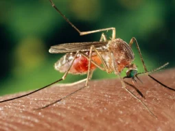 Lipedema e Linfedema: conoscerli per trattarli 18 {{brizy_dc_image_alt entityId=