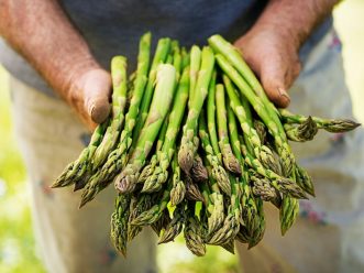 xr:d:DAFkX5c3bVY:30,j:3468196329755529090,t:24041207 Asparagi fanno bene