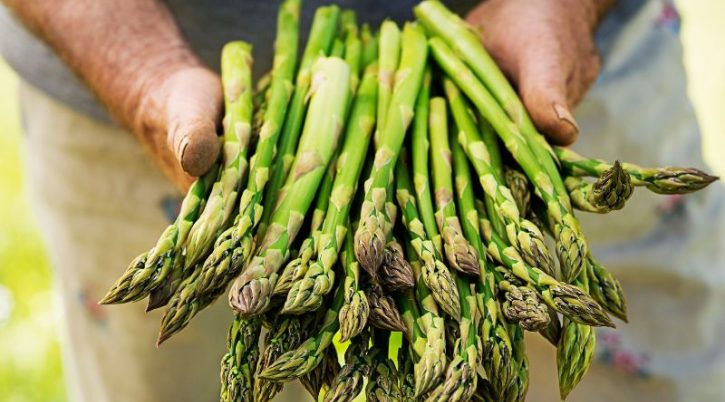 xr:d:DAFkX5c3bVY:30,j:3468196329755529090,t:24041207 Asparagi fanno bene