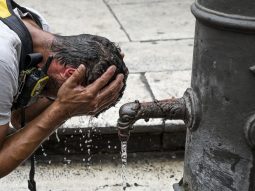 {{brizy_dc_image_alt entityId=