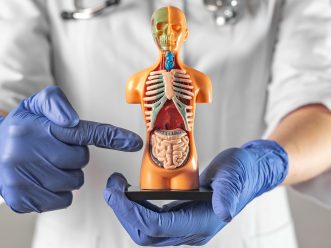 Doctor pointing at intestine symbol inside human body model. Concept of intestinal diagnostics and care News colon virtuale VAL