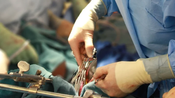 Trento medico arrestato