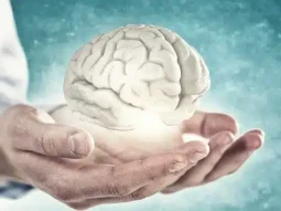 Utilizzo di modelli cerebrali 3D per curare lesioni cerebrali e malattie neurologiche.jpg