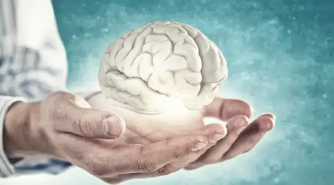 Utilizzo-di-modelli-cerebrali-3D-per-curare-lesioni-cerebrali-e-malattie-neurologiche.jpg Utilizzo di modelli cerebrali 3D per curare lesioni cerebrali e malattie neurologiche.jpg