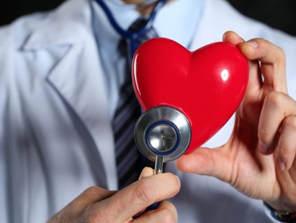 amb_cardio ?brizy media=35464&brizy crop=iW%3D372%26iH%3D248%26oX%3D20%26oY%3D0%26cW%3D331%26cH%3D248