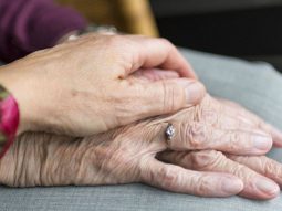 {{brizy_dc_image_alt entityId=