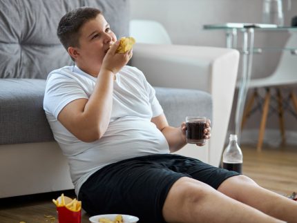Fat,Overweight,Teenager,Boy,Has,Bad,Nutrition,,Eat,Unhealthy,Food. ?brizy media=33925&brizy crop=iW%3D371%26iH%3D248%26oX%3D19%26oY%3D0%26cW%3D331%26cH%3D248