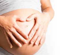 {{brizy_dc_image_alt entityId=