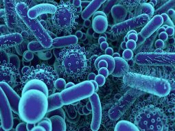 il-microbioma-vaginale-la-centrale-del-benessere-femminile il microbioma vaginale la centrale del benessere femminile