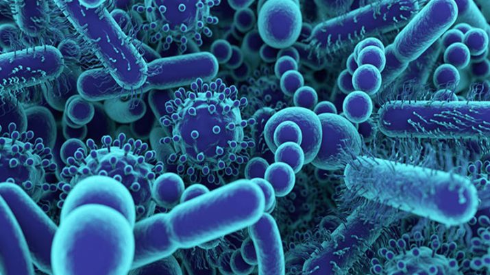 il microbioma vaginale la centrale del benessere femminile