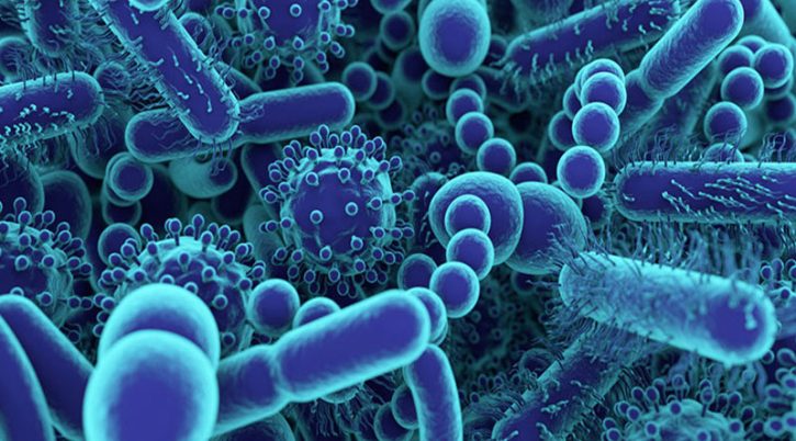il-microbioma-vaginale-la-centrale-del-benessere-femminile il microbioma vaginale la centrale del benessere femminile