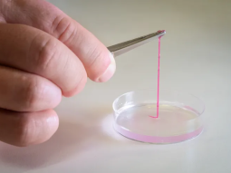 Caffè e farmaci: come evitare interazioni dannose con una semplice strategia mattutina 20 {{brizy_dc_image_alt entityId=