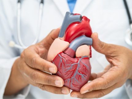 malattie-cardiovascolari-quali-sono-trattamenti-efficaci ?brizy media=35434&brizy crop=iW%3D439%26iH%3D248%26oX%3D53%26oY%3D0%26cW%3D331%26cH%3D248