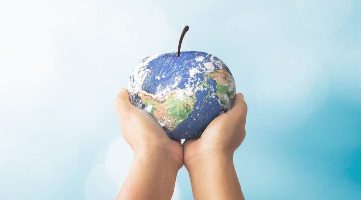 mela mondo mani canva