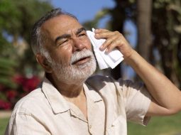 {{brizy_dc_image_alt entityId=