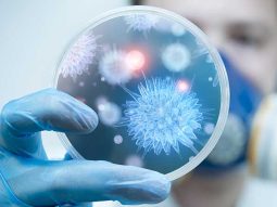 perche-non-e-stata-ancora-trovata-la-cura-contro-il-cancro perche non e stata ancora trovata la cura contro il cancro