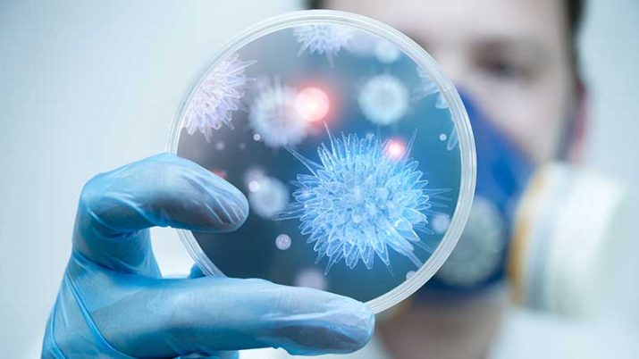 perche non e stata ancora trovata la cura contro il cancro