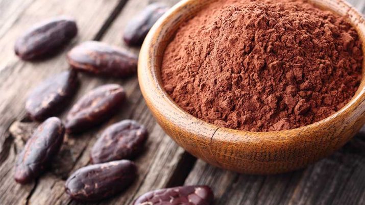 polifenoli cacao funzioni cognitive