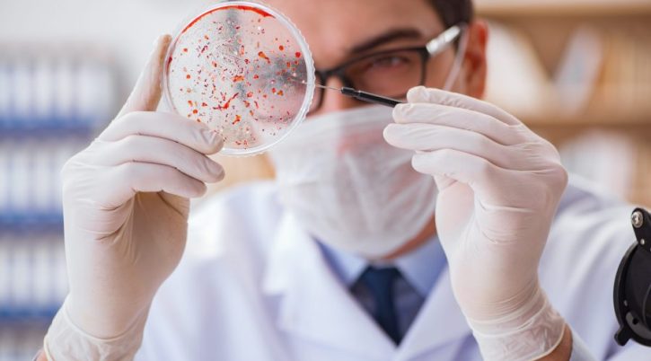 sangue-ricerca-scaled-e1688657867978 sangue ricerca scaled e1688657867978