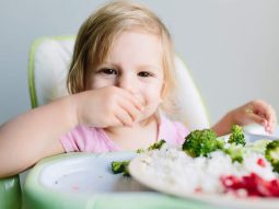 shutterstock_340483241-1-952x667 shutterstock 340483241 1 952x667 1