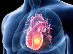 {{brizy_dc_image_alt entityId=