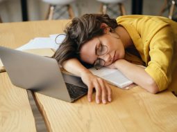 I “vermi mangiacervello” esistono davvero? Cosa sono, dove si trovano e quali rischi comportano 15 {{brizy_dc_image_alt entityId=